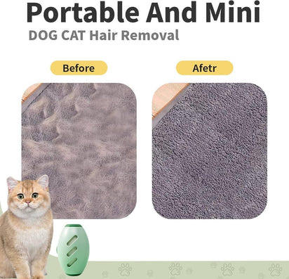 FurEase™ Reusable Pet Hair Remover